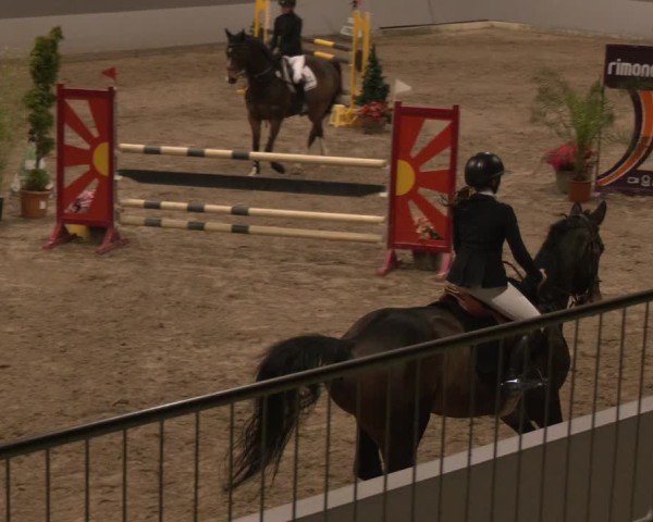 Reitturnier AZL Luhmühlen 2025