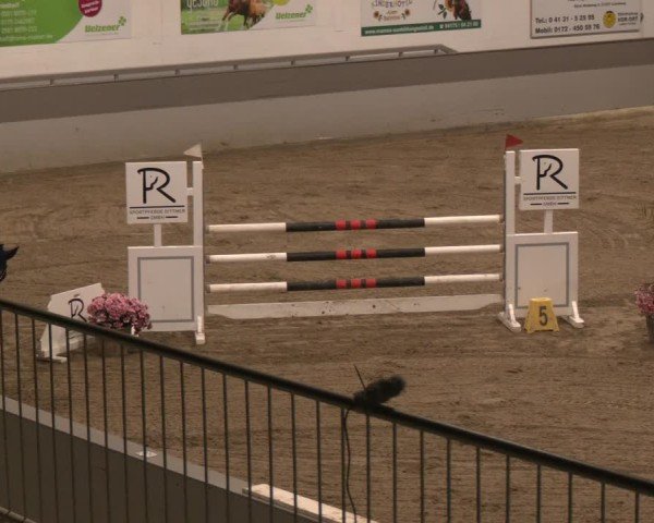 Reitturnier AZL Luhmühlen 2025