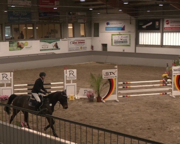 Reitturnier AZL Luhmühlen 2025
