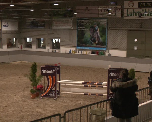 Reitturnier AZL Luhmühlen 2025