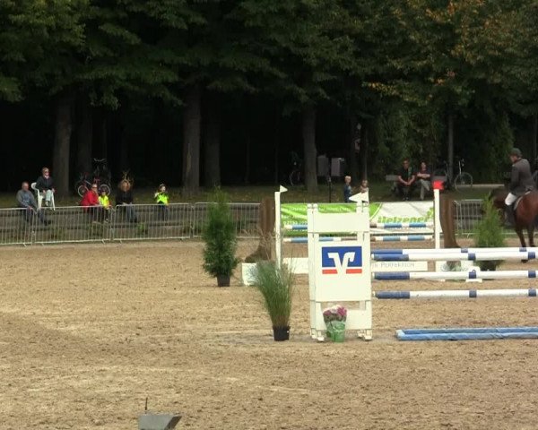 Mönchengladbach-Wickrather Reitertage 2013