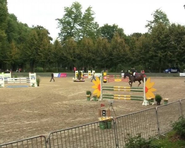 Mönchengladbach-Wickrather Reitertage 2013