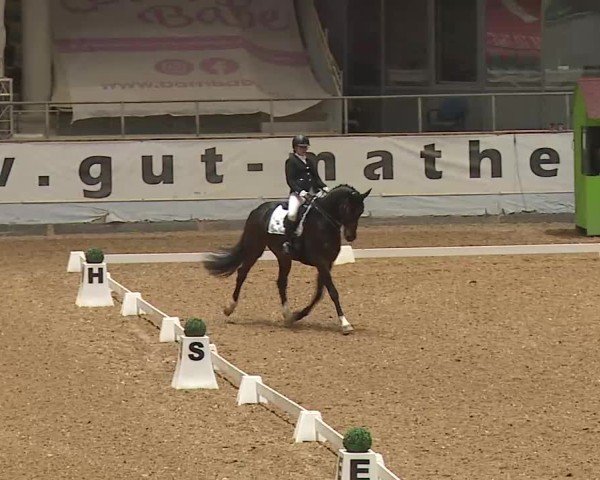 Reitturnier Kreuth/Opf. 2025