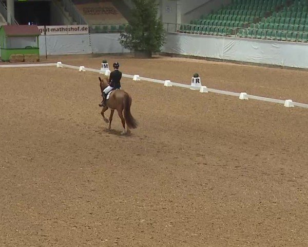 Reitturnier Kreuth/Opf. 2025