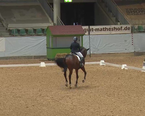 Reitturnier Kreuth/Opf. 2025