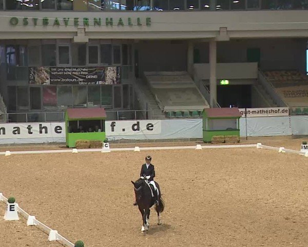 Reitturnier Kreuth/Opf. 2025