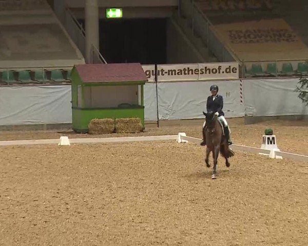 Reitturnier Kreuth/Opf. 2025