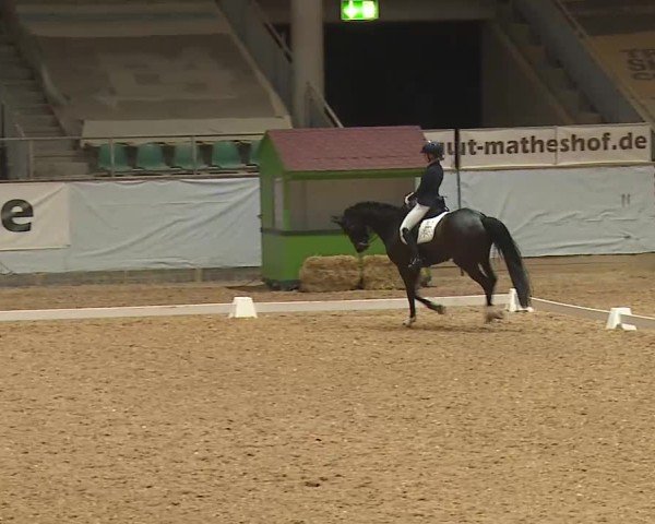Reitturnier Kreuth/Opf. 2025
