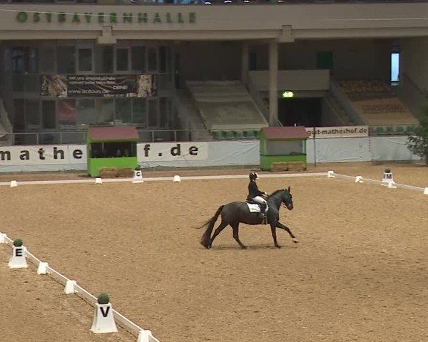 Reitturnier Kreuth/Opf. 2025