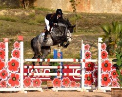 jumper Cograna PS (Oldenburg, 2017, from Cornet Obolensky)