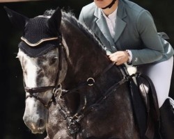 jumper Hannah 73 (Hanoverian, 2018, from Hickstead White)