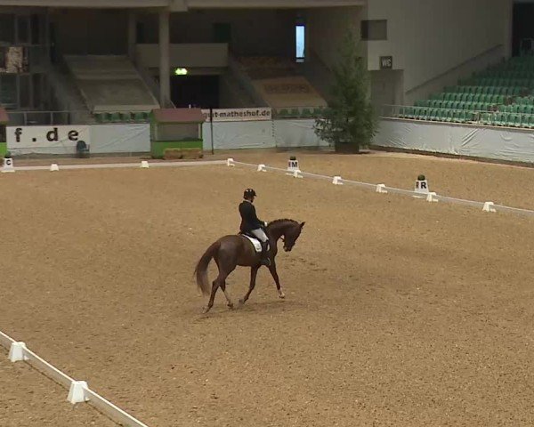 Reitturnier Kreuth/Opf. 2025