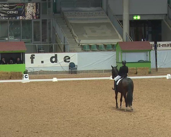 Reitturnier Kreuth/Opf. 2025