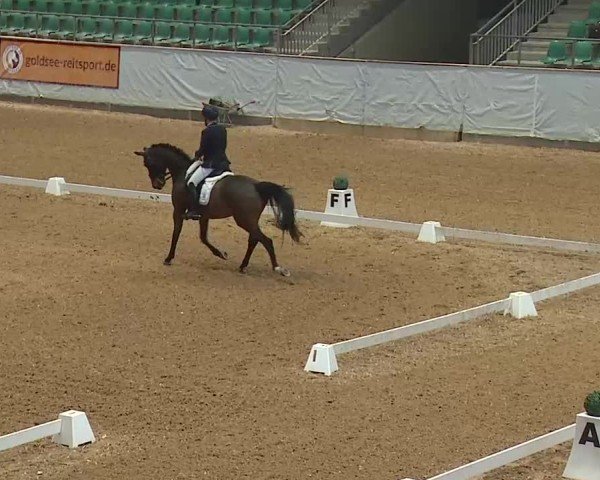 Reitturnier Kreuth/Opf. 2025