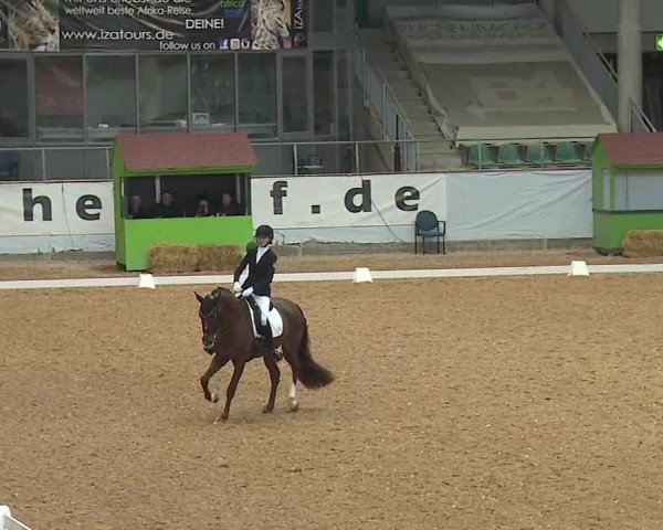 Reitturnier Kreuth/Opf. 2025
