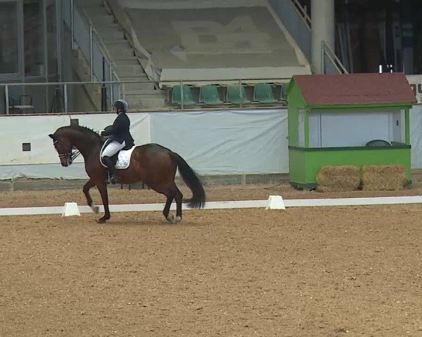 Reitturnier Kreuth/Opf. 2025