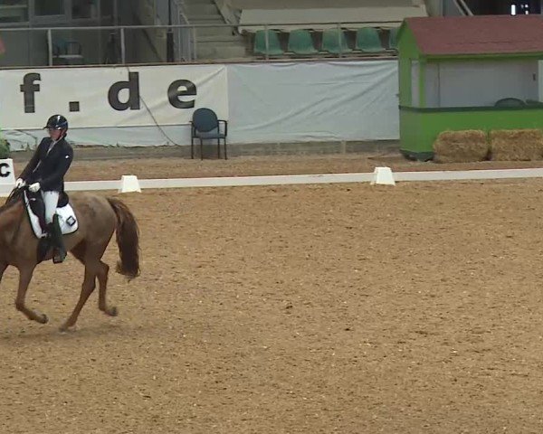 Reitturnier Kreuth/Opf. 2025