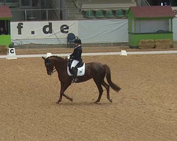Reitturnier Kreuth/Opf. 2025