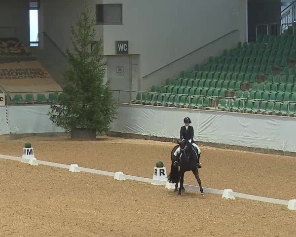 Reitturnier Kreuth/Opf. 2025