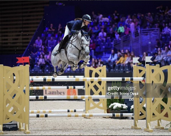 broodmare Bambou de Bedon (Selle Français, 2011, from Mylord Carthago)