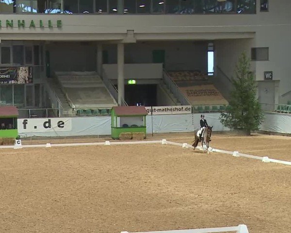 Reitturnier Kreuth/Opf. 2025