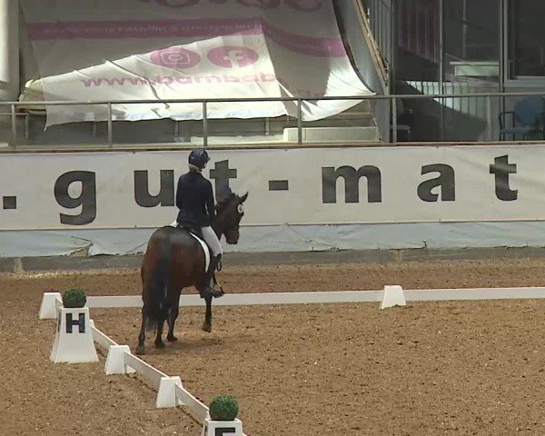 Reitturnier Kreuth/Opf. 2025