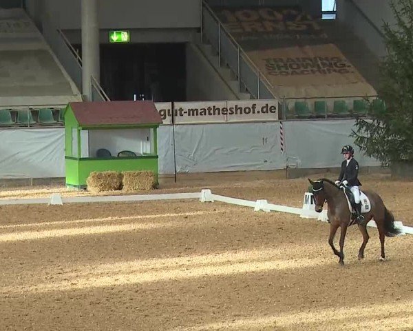 Reitturnier Kreuth/Opf. 2025