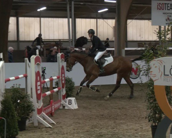 Reitturnier Barlo-Bocholt 2025