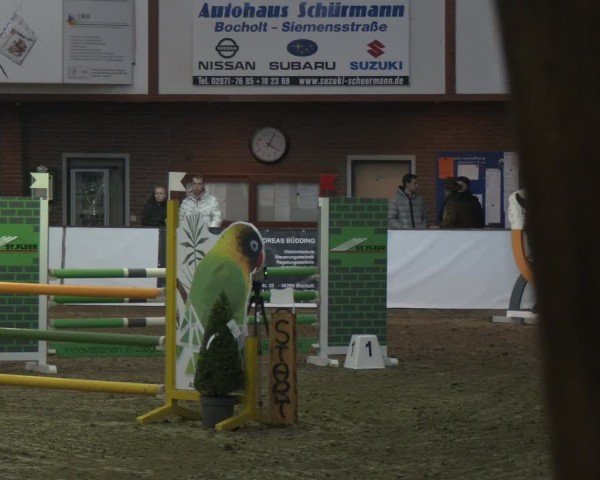 Reitturnier Barlo-Bocholt 2025