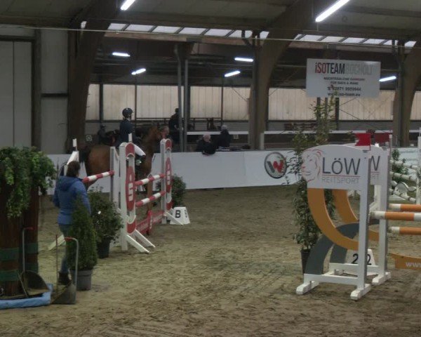 Reitturnier Barlo-Bocholt 2025