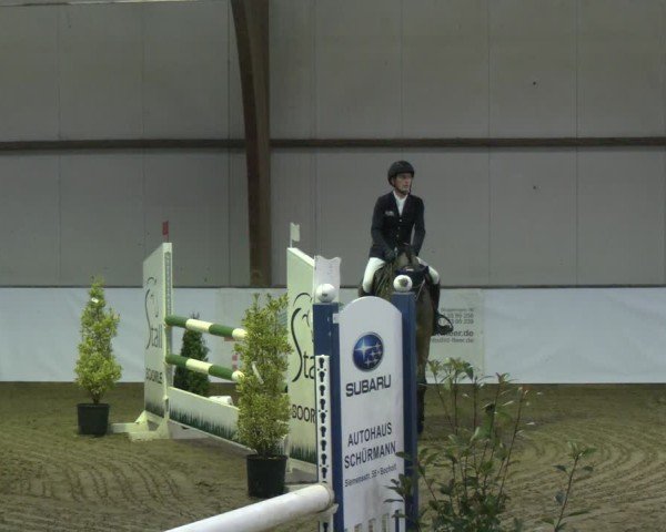 Reitturnier Barlo-Bocholt 2025