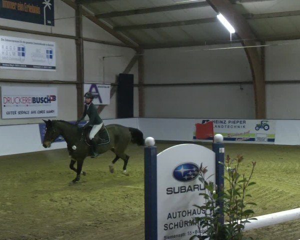 Reitturnier Barlo-Bocholt 2025