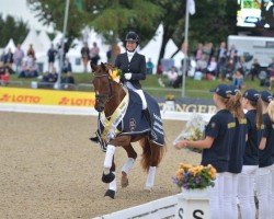 Cheval de dressage Donna Lisa 3 (Hanovrien, 2009, de Dancier)
