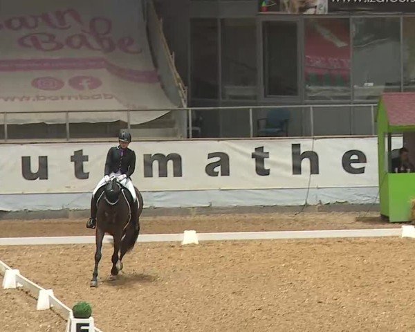 Reitturnier Kreuth/Opf. 2025