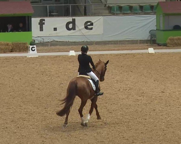 Reitturnier Kreuth/Opf. 2025