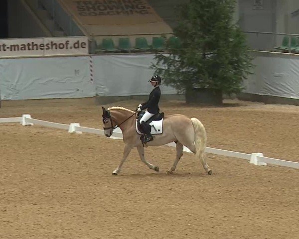 Reitturnier Kreuth/Opf. 2025