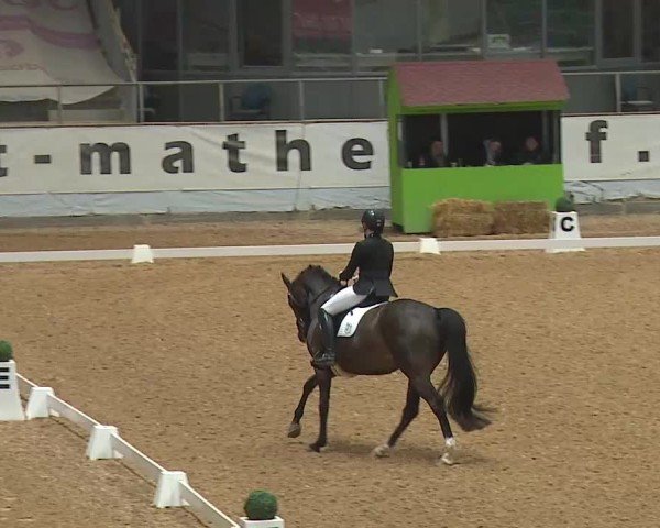 Reitturnier Kreuth/Opf. 2025
