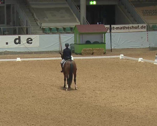 Reitturnier Kreuth/Opf. 2025