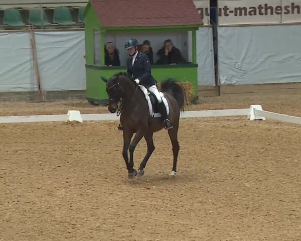 Reitturnier Kreuth/Opf. 2025
