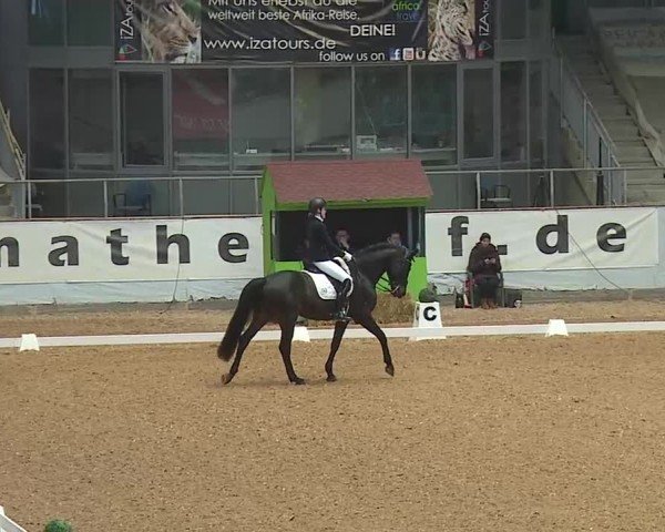 Reitturnier Kreuth/Opf. 2025
