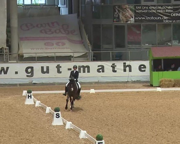 Reitturnier Kreuth/Opf. 2025