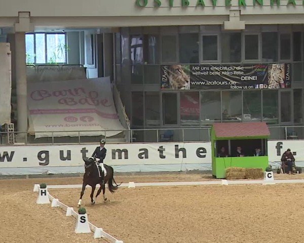 Reitturnier Kreuth/Opf. 2025
