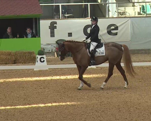 Reitturnier Kreuth/Opf. 2025