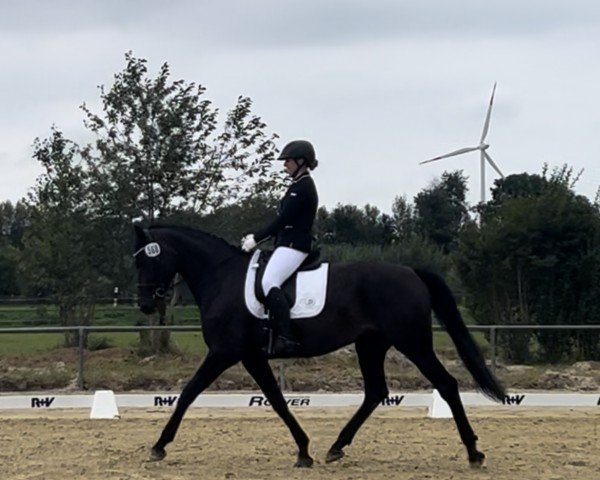 jumper Hot Scarlina (Oldenburg, 2019, from Hotline)