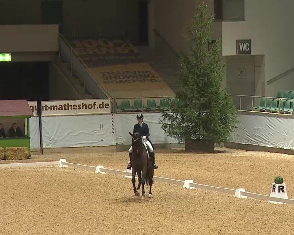 Reitturnier Kreuth/Opf. 2025
