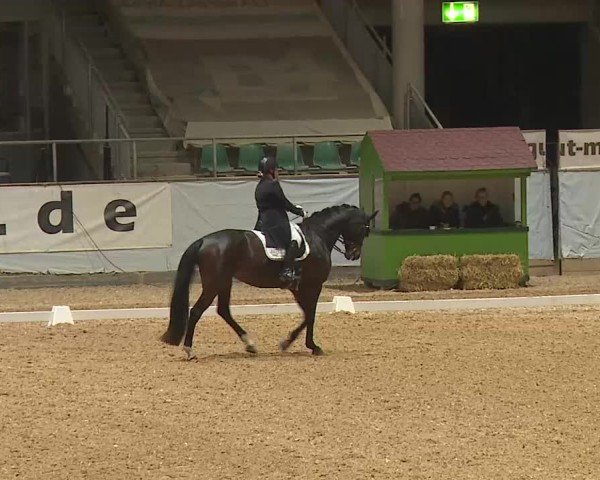 Reitturnier Kreuth/Opf. 2025