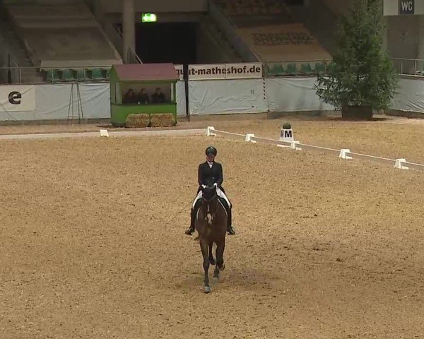 Reitturnier Kreuth/Opf. 2025