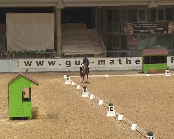 Reitturnier Kreuth/Opf. 2025