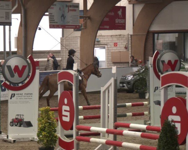 Reitturnier Barlo-Bocholt 2025