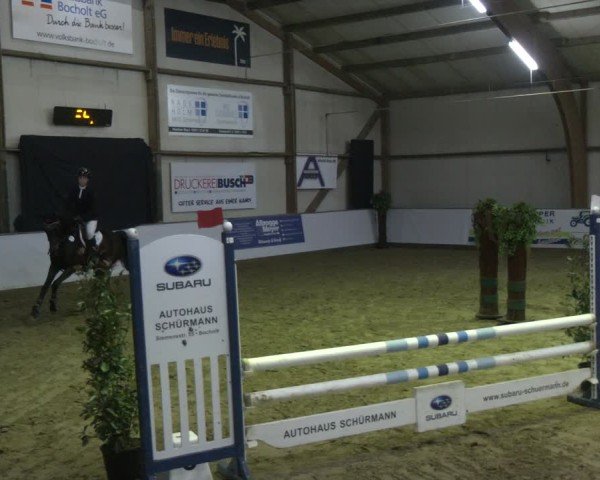 Reitturnier Barlo-Bocholt 2025